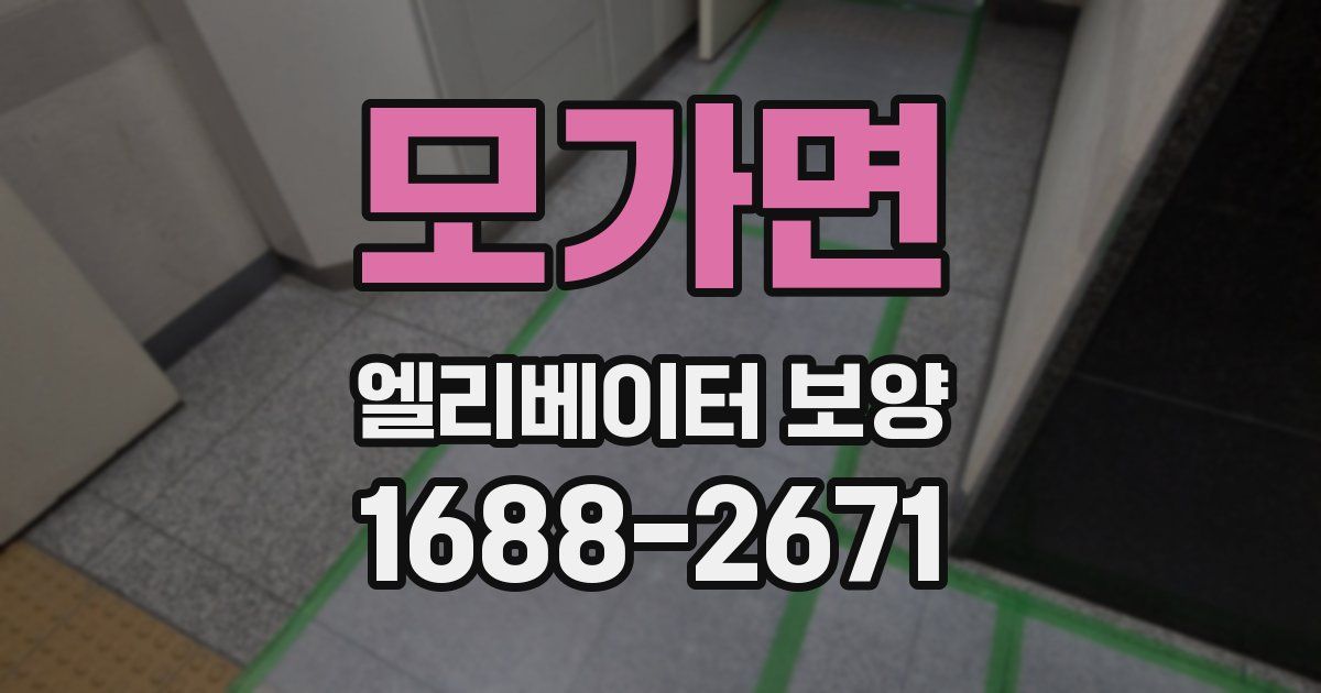 모가면 엘리베이터 보양