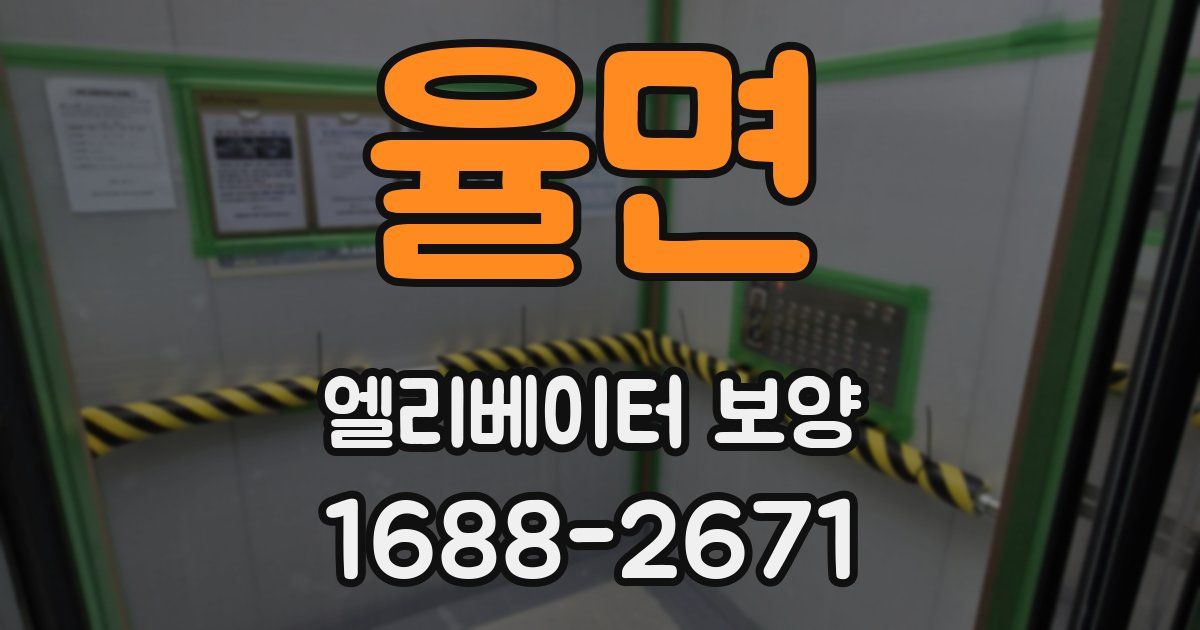 율면 엘리베이터 보양