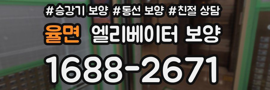 율면 엘리베이터 보양
