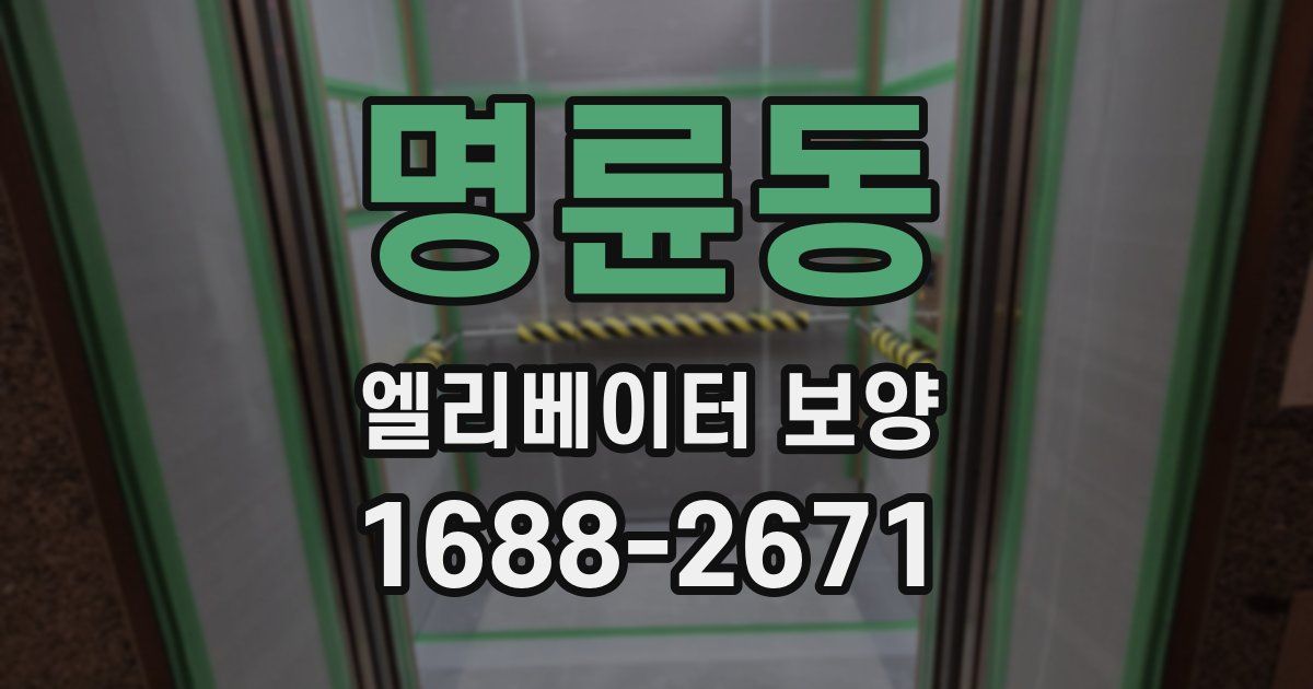 명륜동 엘리베이터 보양