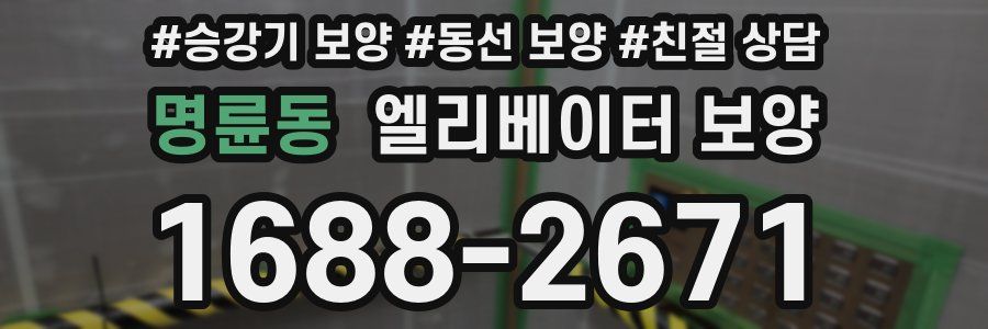 명륜동 엘리베이터 보양
