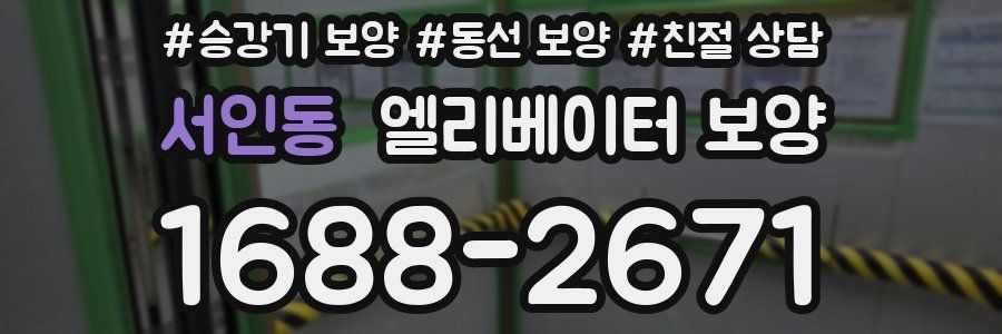 서인동 엘리베이터 보양