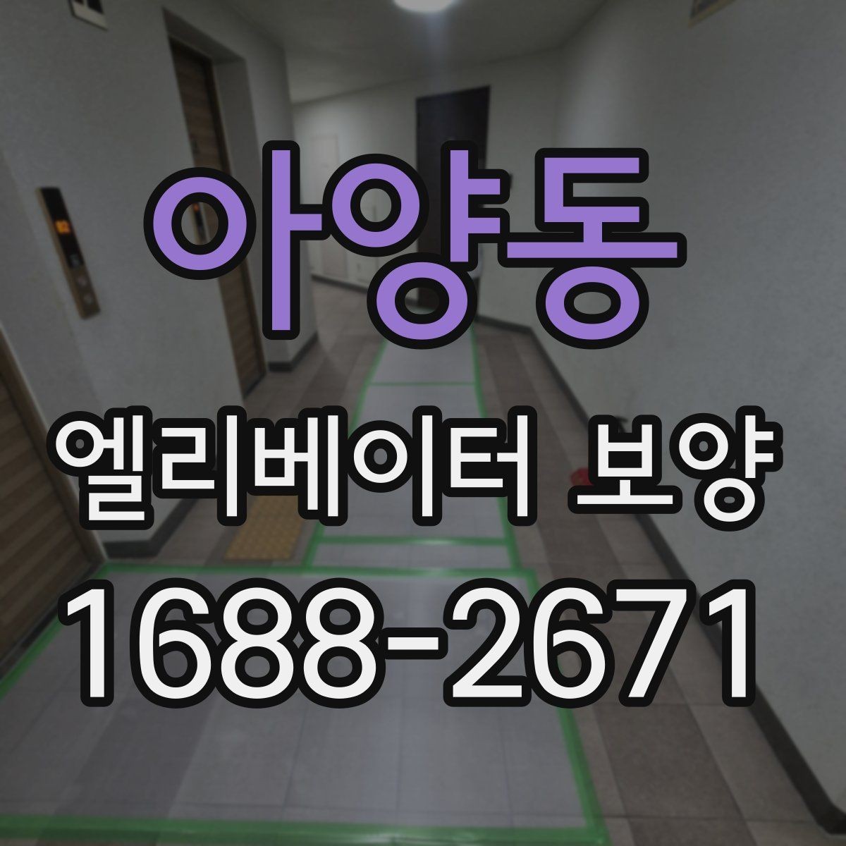 아양동 엘리베이터 보양 필요 여부를 판단하는 기준