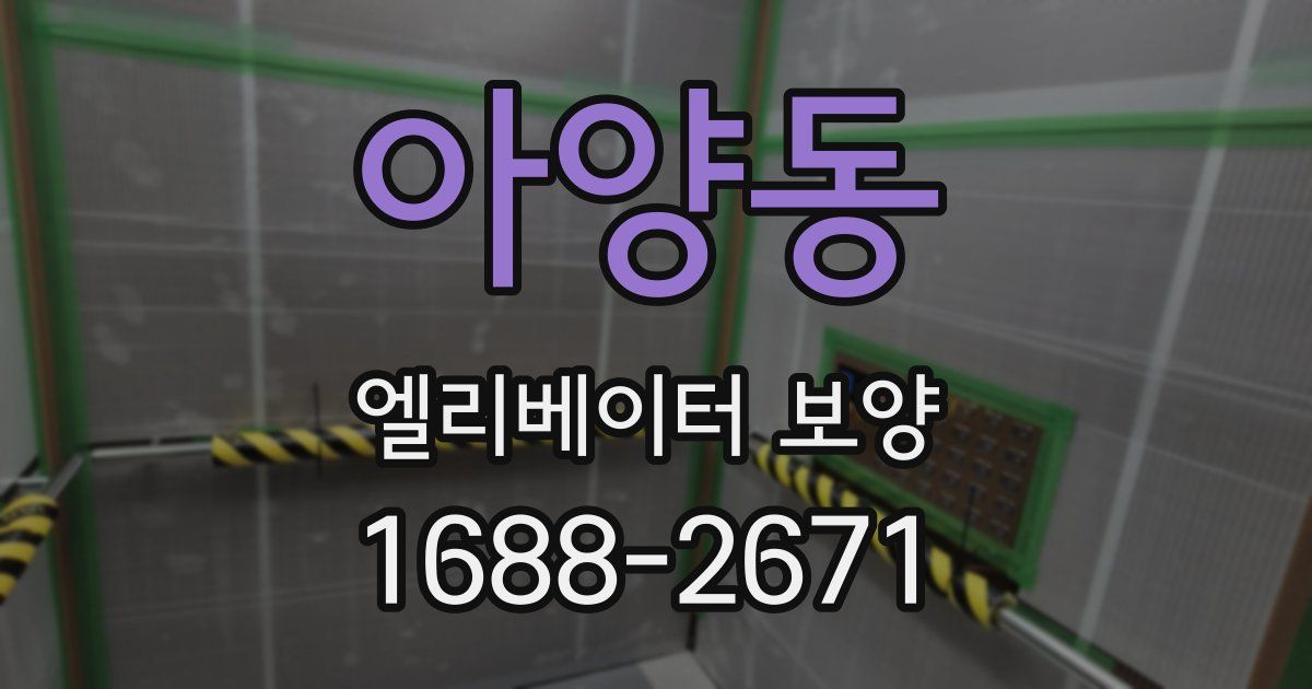 아양동 엘리베이터 보양