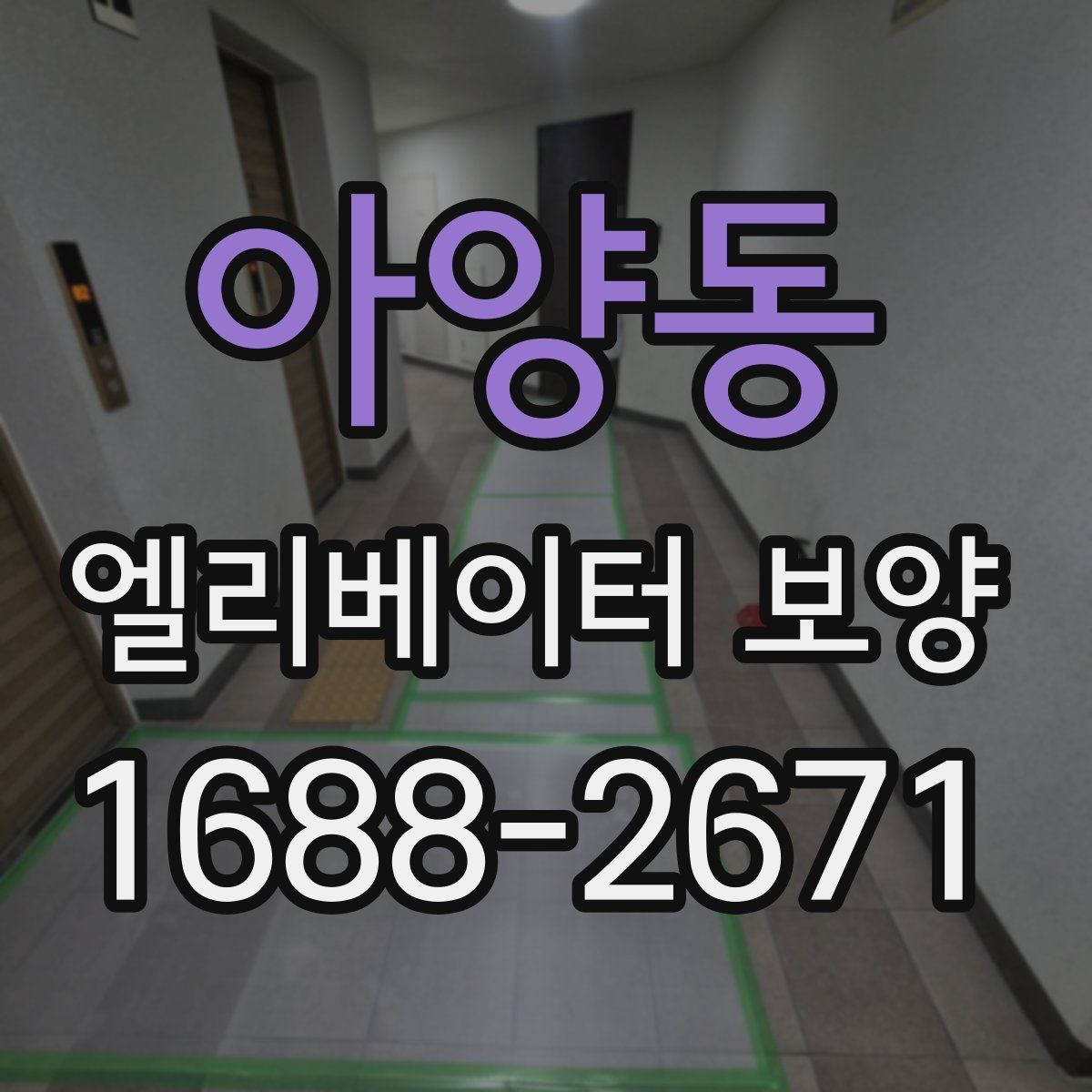 아양동 엘리베이터 보양
