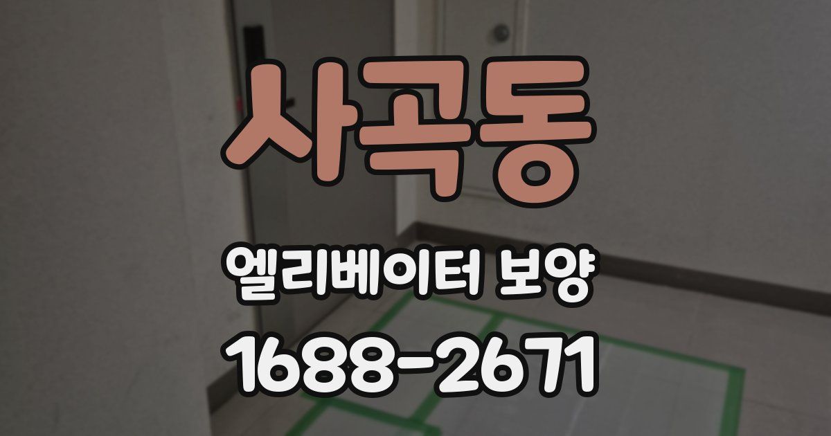 사곡동 엘리베이터 보양