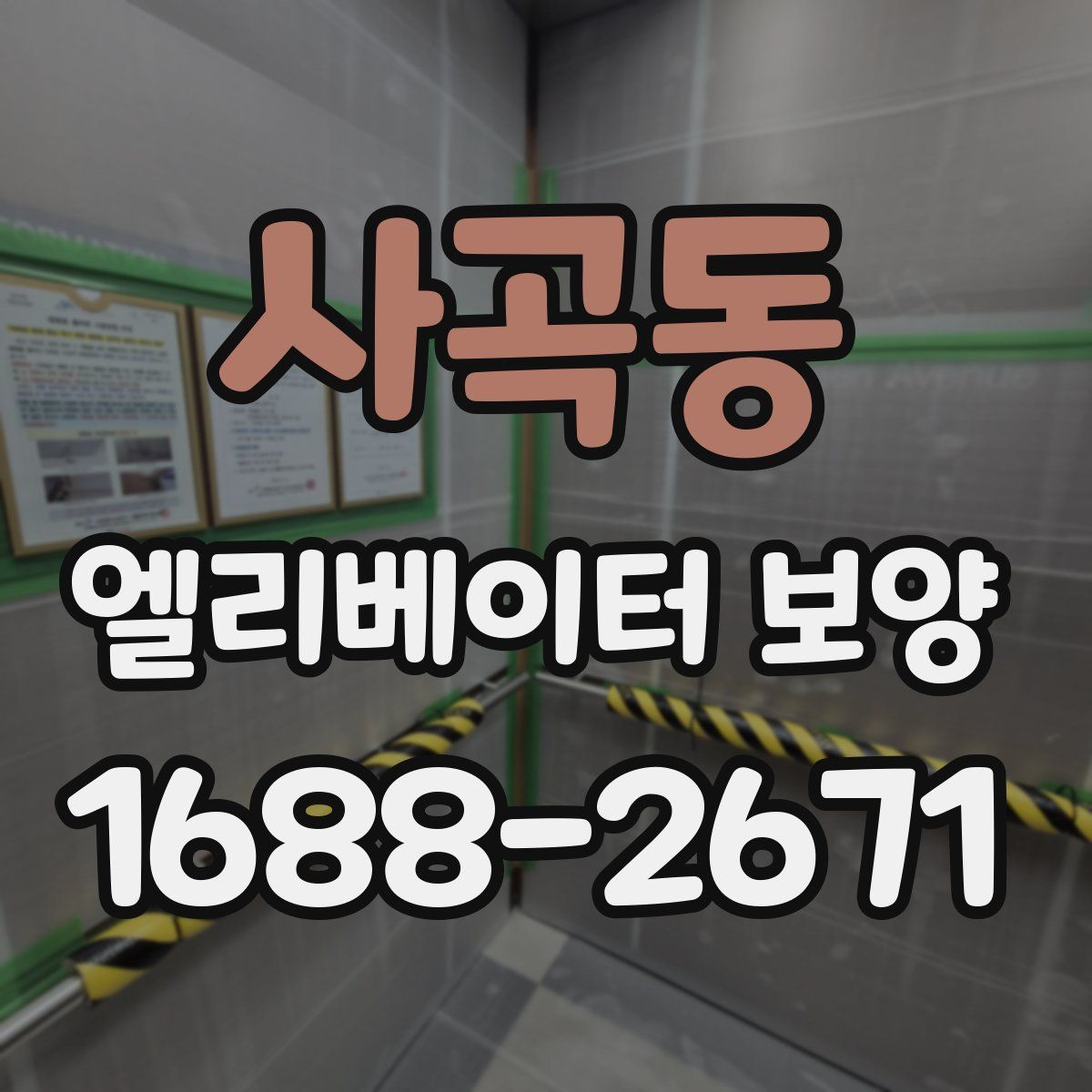 사곡동 엘리베이터 보양