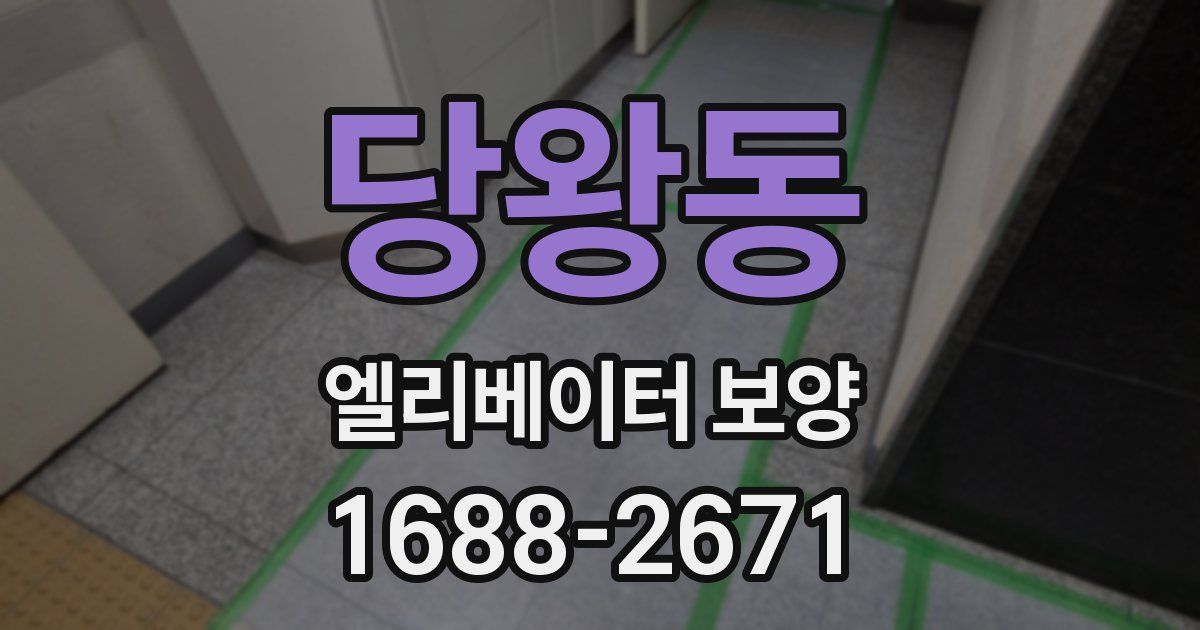 당왕동 엘리베이터 보양