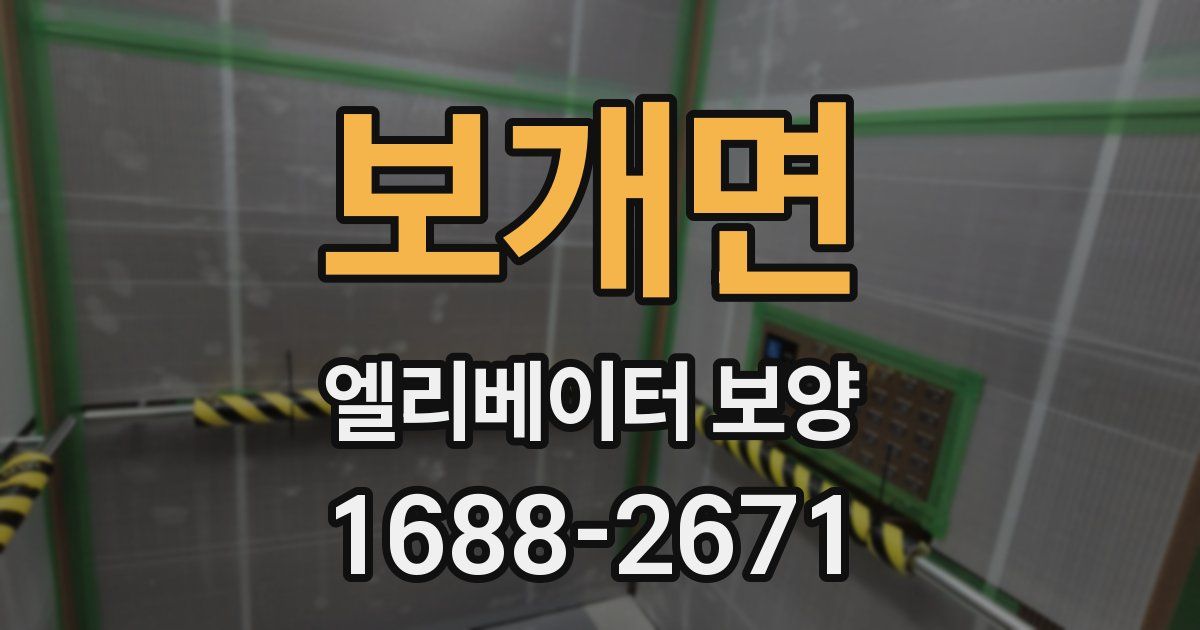 보개면 엘리베이터 보양