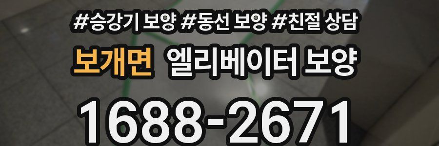 보개면 엘리베이터 보양