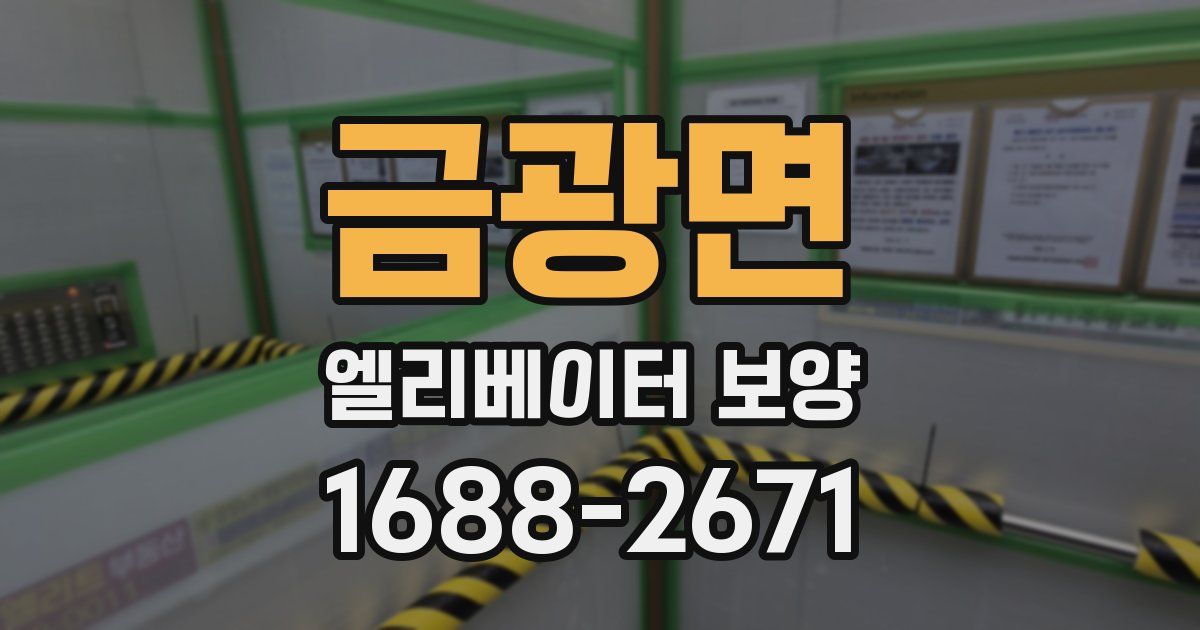 금광면 엘리베이터 보양