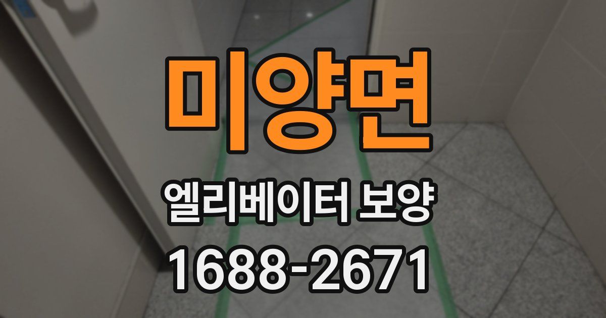 미양면 엘리베이터 보양