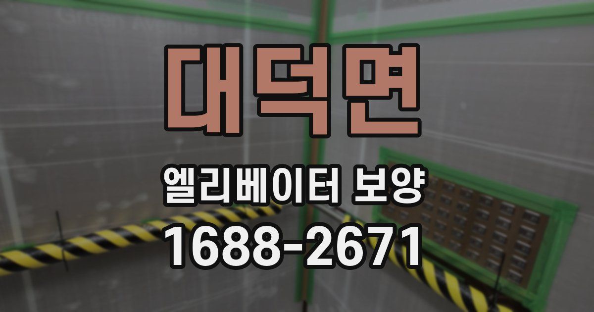 대덕면 엘리베이터 보양