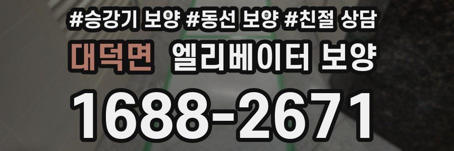 대덕면 엘리베이터 보양