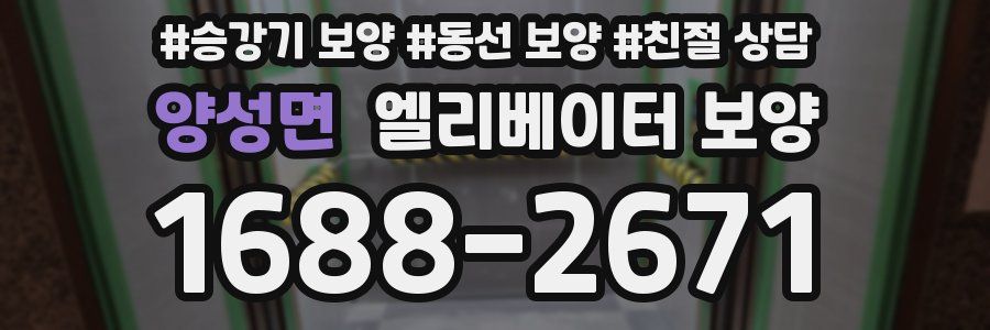 양성면 엘리베이터 보양