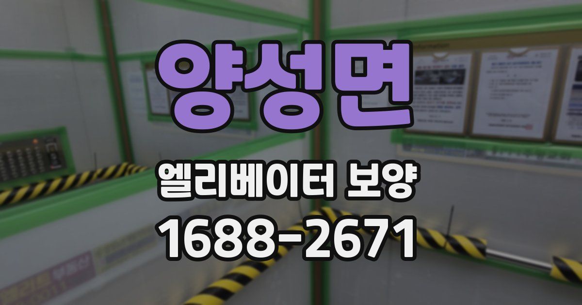 양성면 엘리베이터 보양