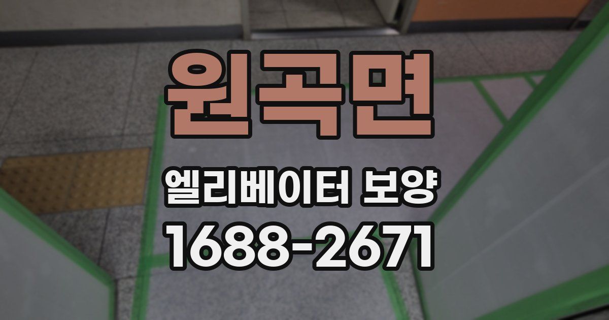 원곡면 엘리베이터 보양