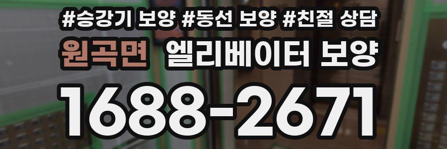 원곡면 엘리베이터 보양