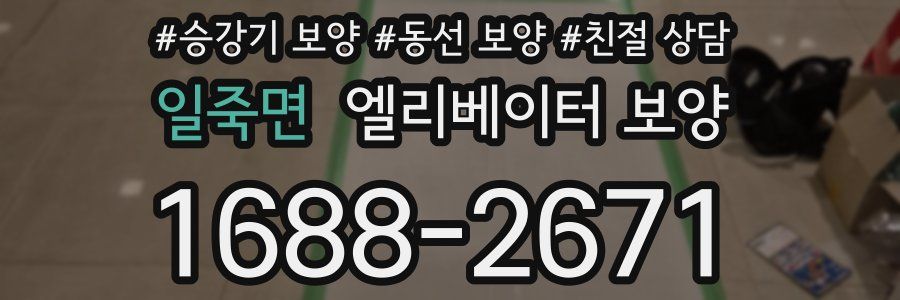 일죽면 엘리베이터 보양