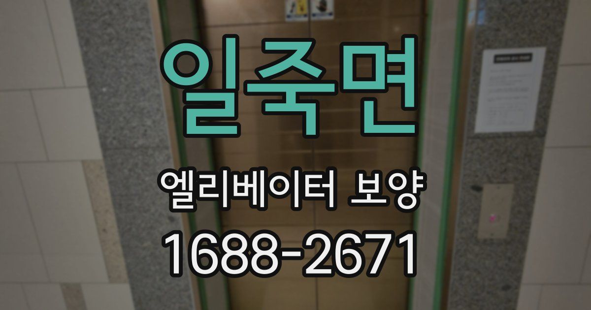 일죽면 엘리베이터 보양
