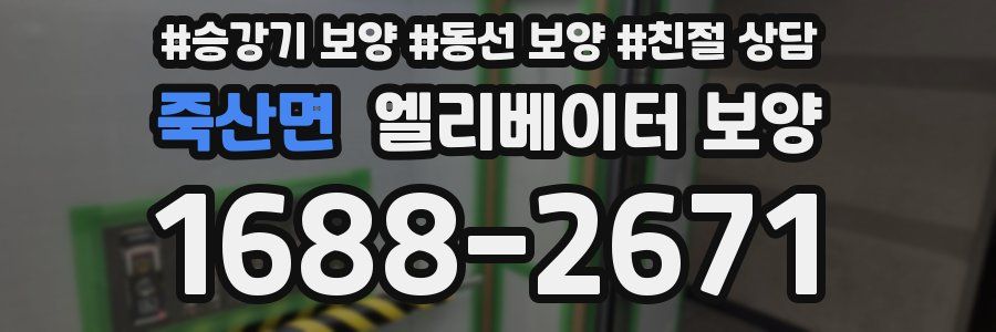 죽산면 엘리베이터 보양