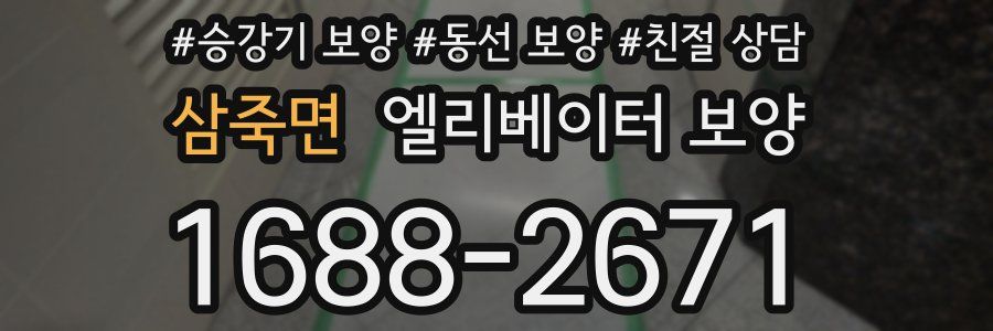 삼죽면 엘리베이터 보양