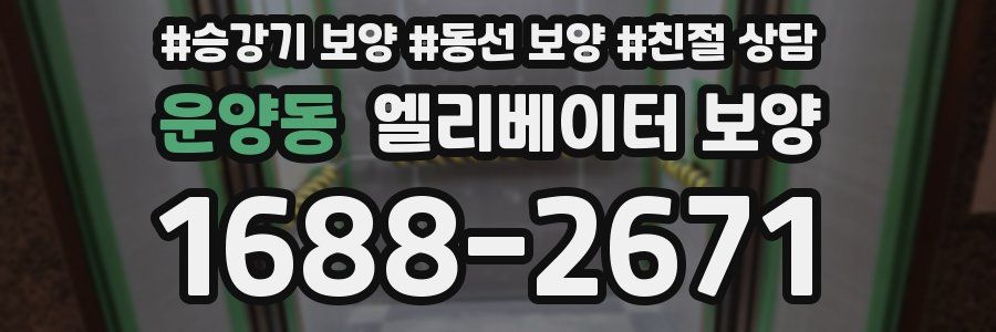 운양동 엘리베이터 보양