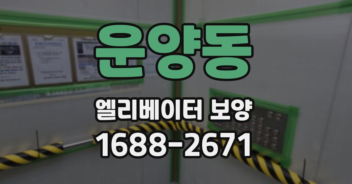 운양동 엘리베이터 보양