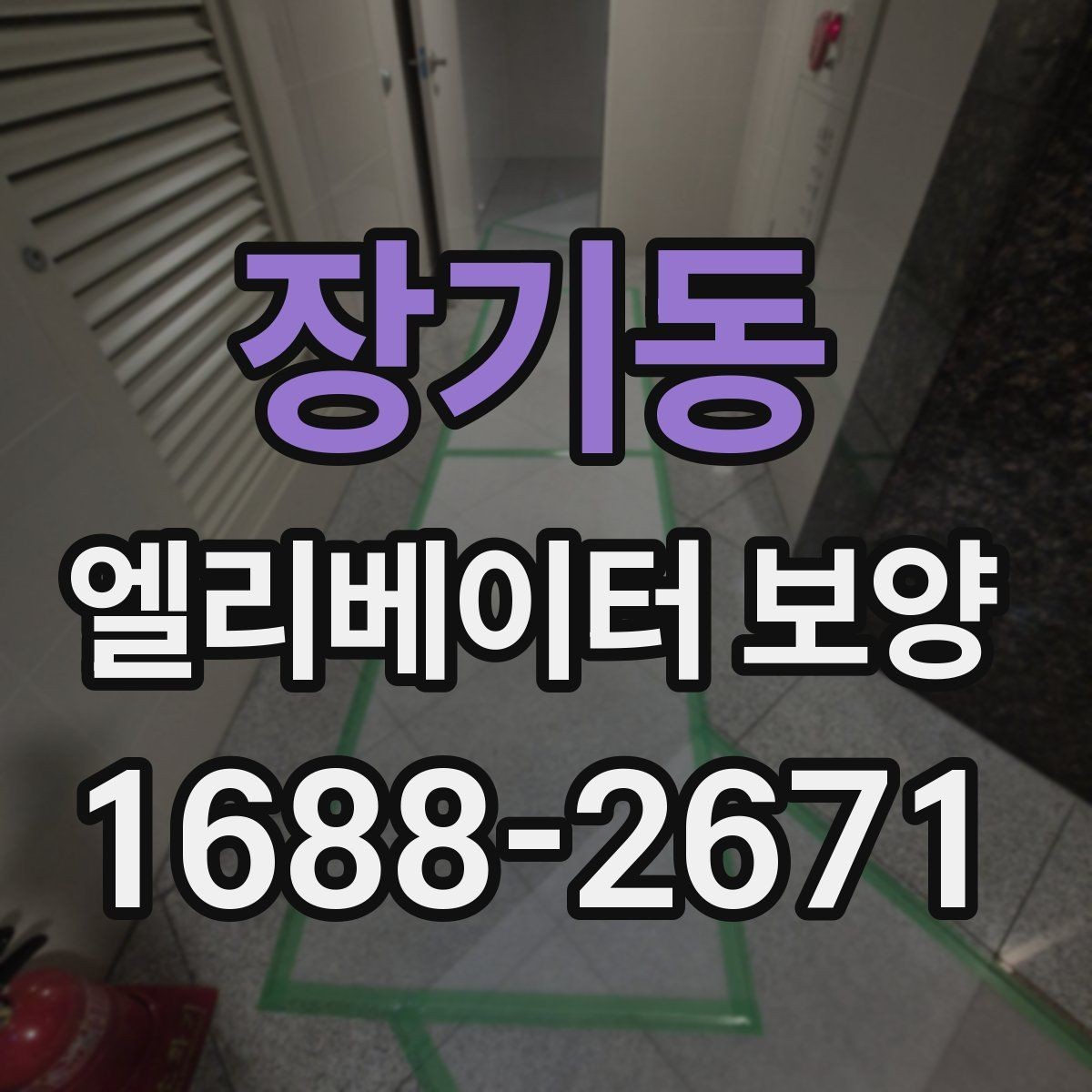 장기동 엘리베이터 보양 자재 종류를 한눈에 보는 정리