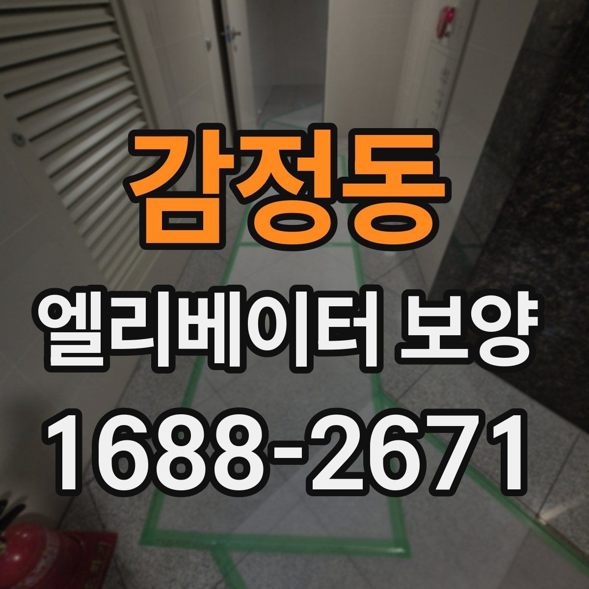 감정동 엘리베이터 보양 현장 사진으로 보는 진행 방식
