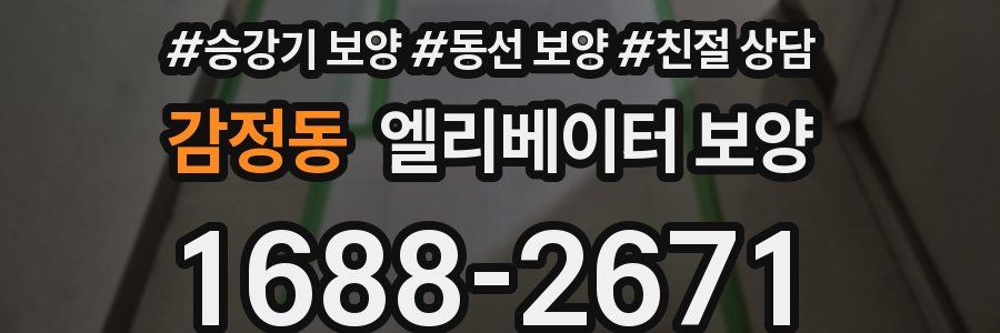 감정동 엘리베이터 보양