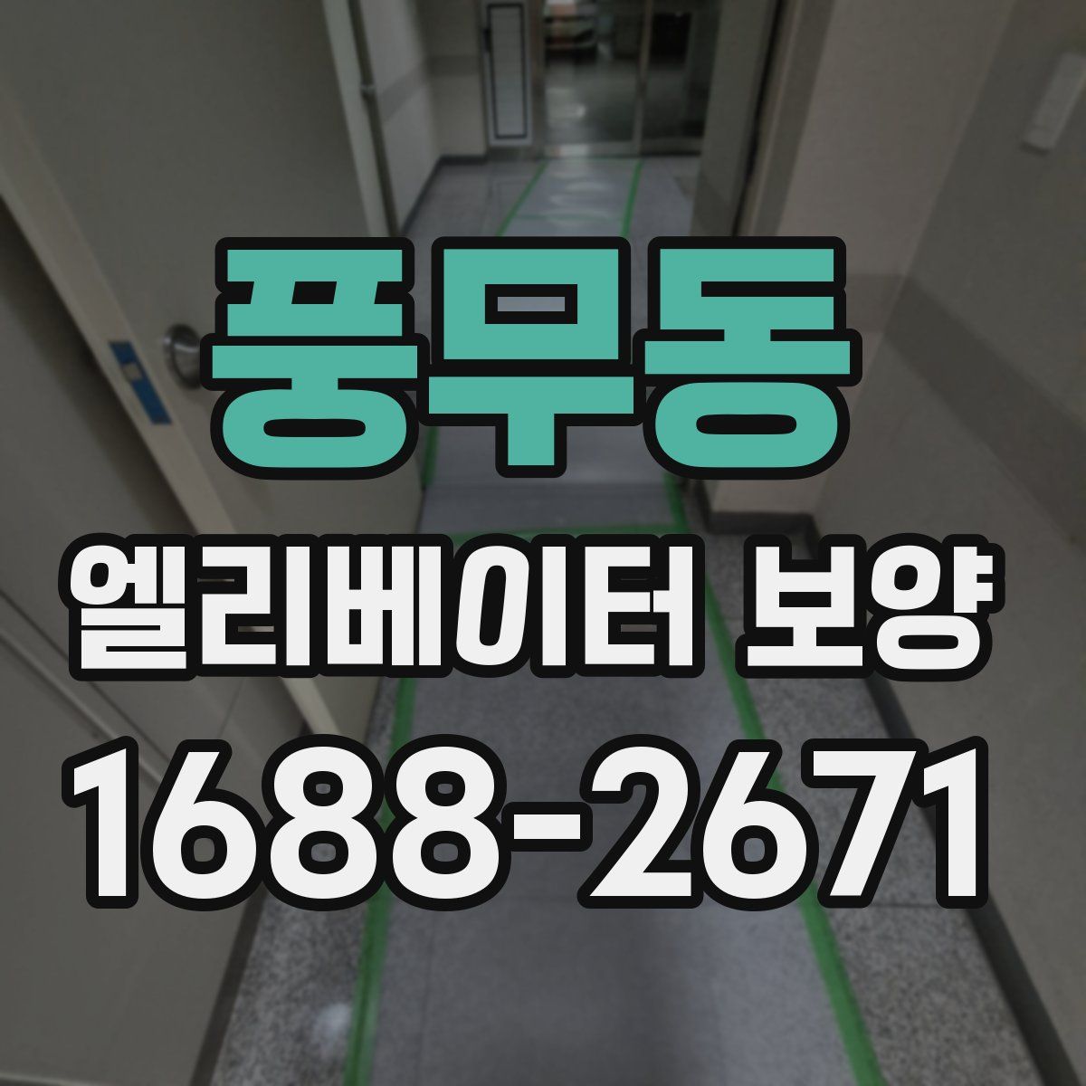 풍무동 엘리베이터 보양