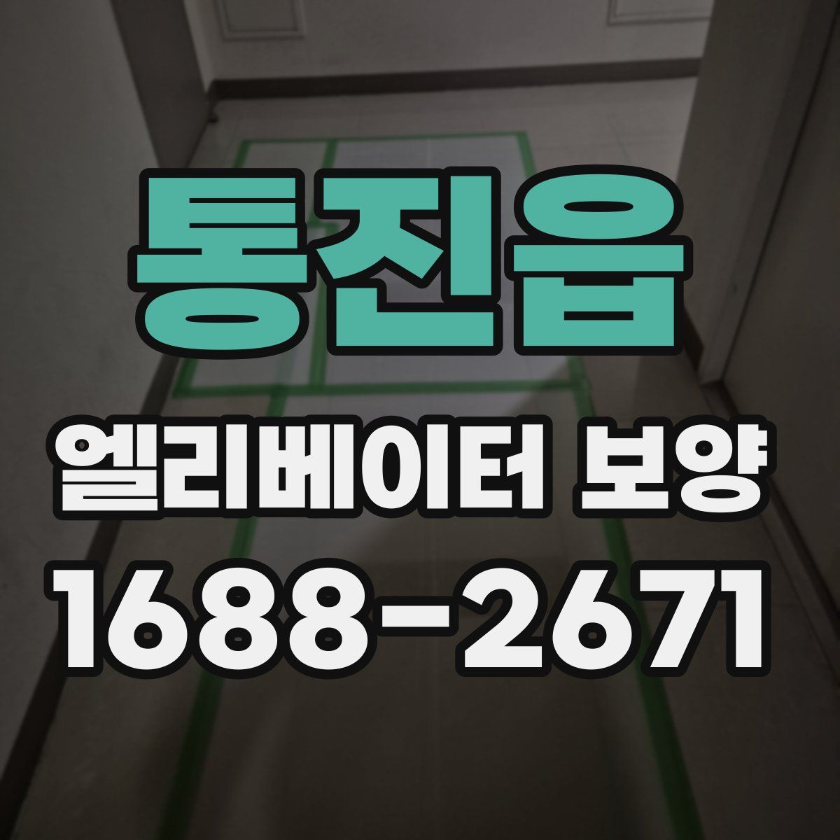 통진읍 엘리베이터 보양