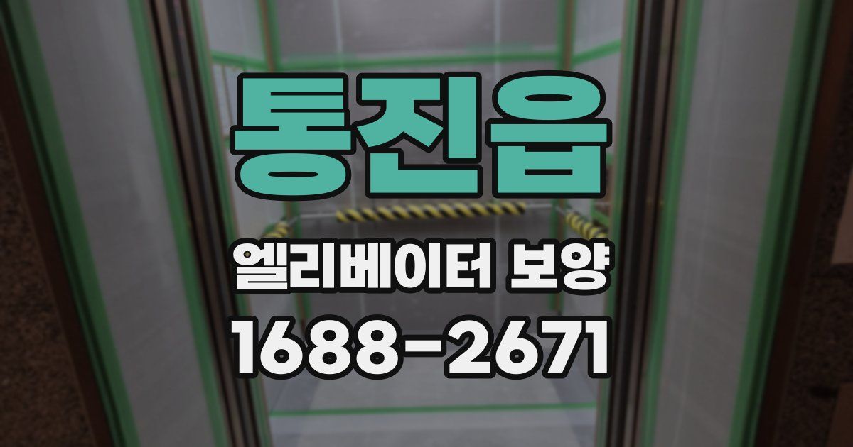 통진읍 엘리베이터 보양