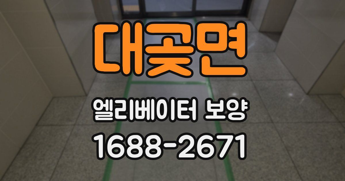 대곶면 엘리베이터 보양