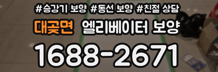대곶면 엘리베이터 보양