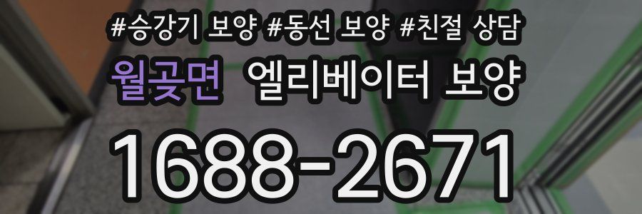 월곶면 엘리베이터 보양