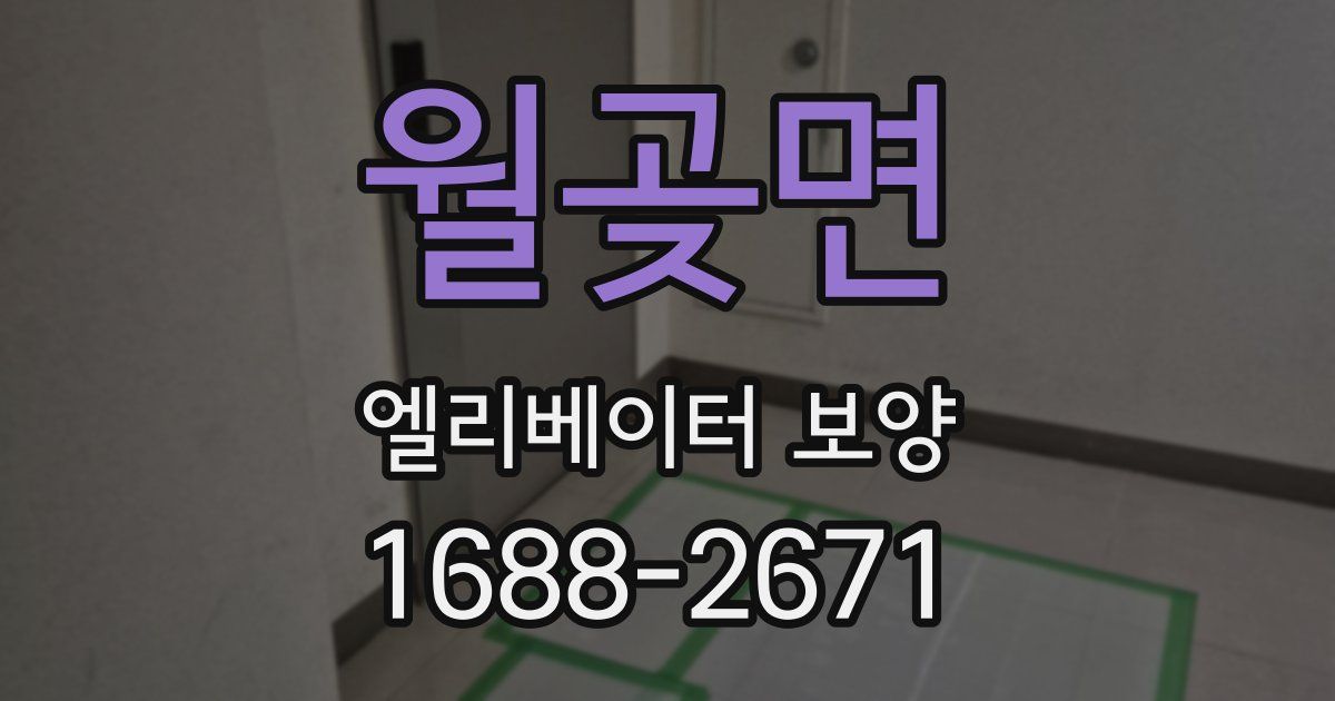 월곶면 엘리베이터 보양