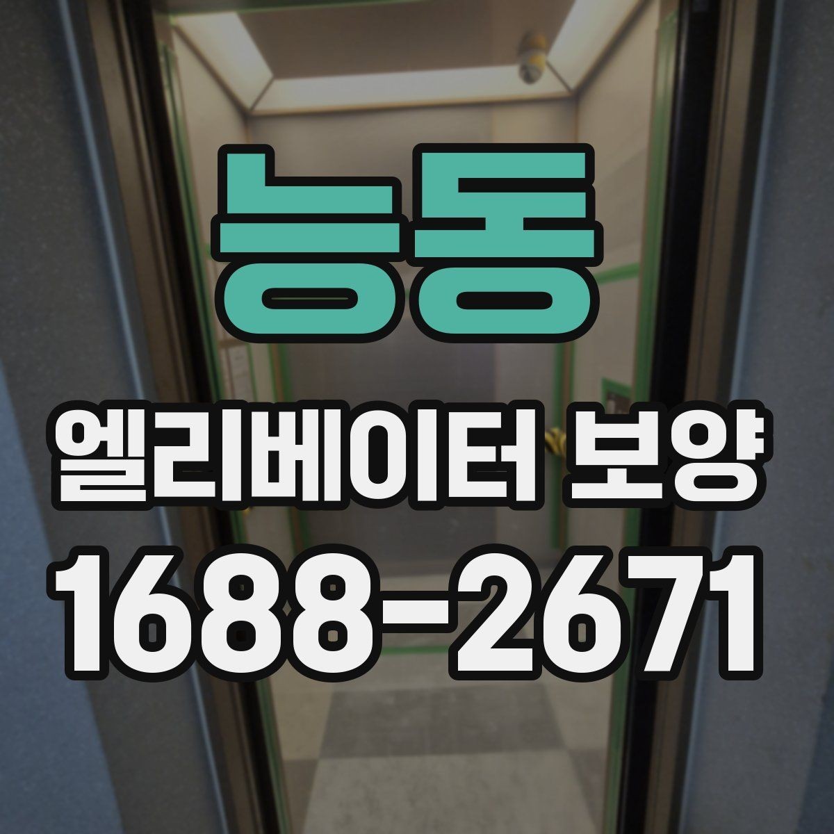 능동 엘리베이터 보양 설치 전 현장 점검 포인트