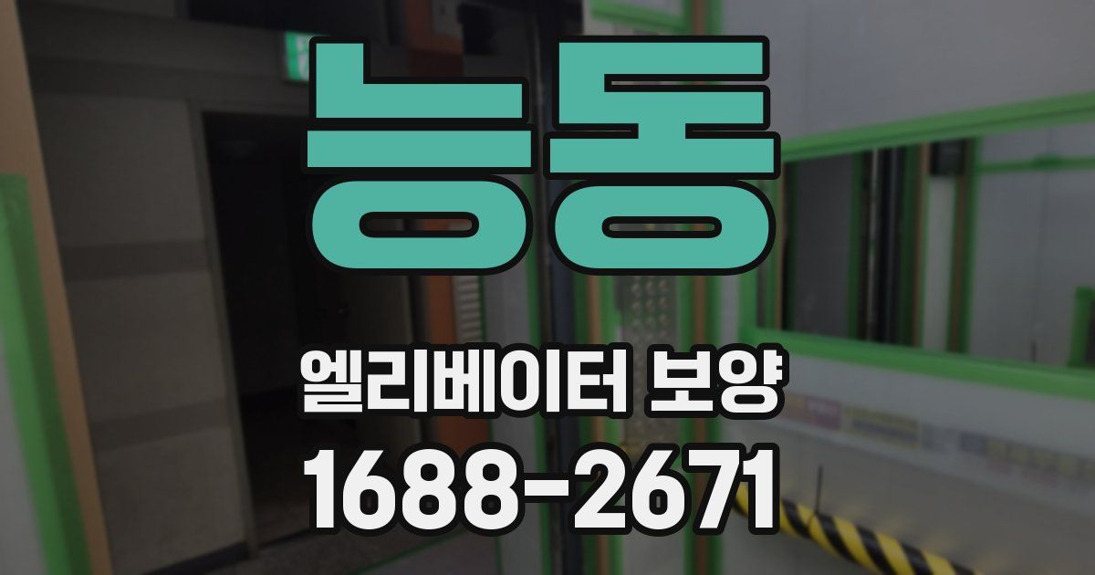 능동 엘리베이터 보양