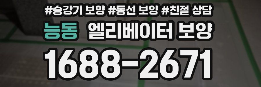 능동 엘리베이터 보양