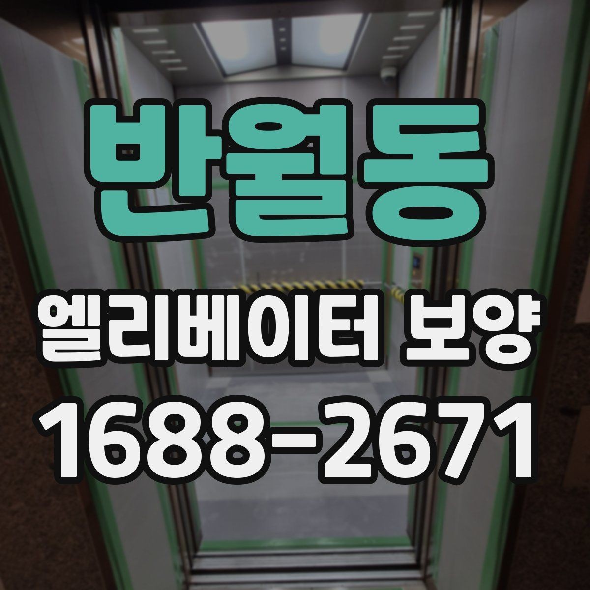 반월동 엘리베이터 보양 적용 구역을 넓게 잡아야 할 때