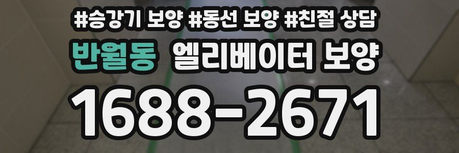 반월동 엘리베이터 보양