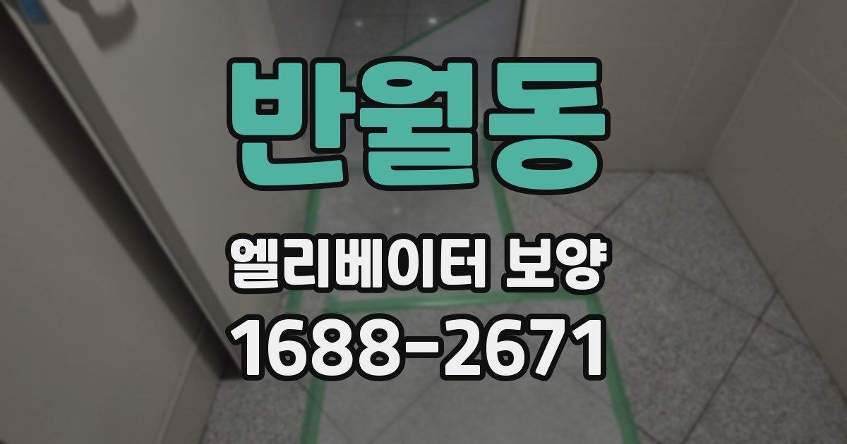 반월동 엘리베이터 보양