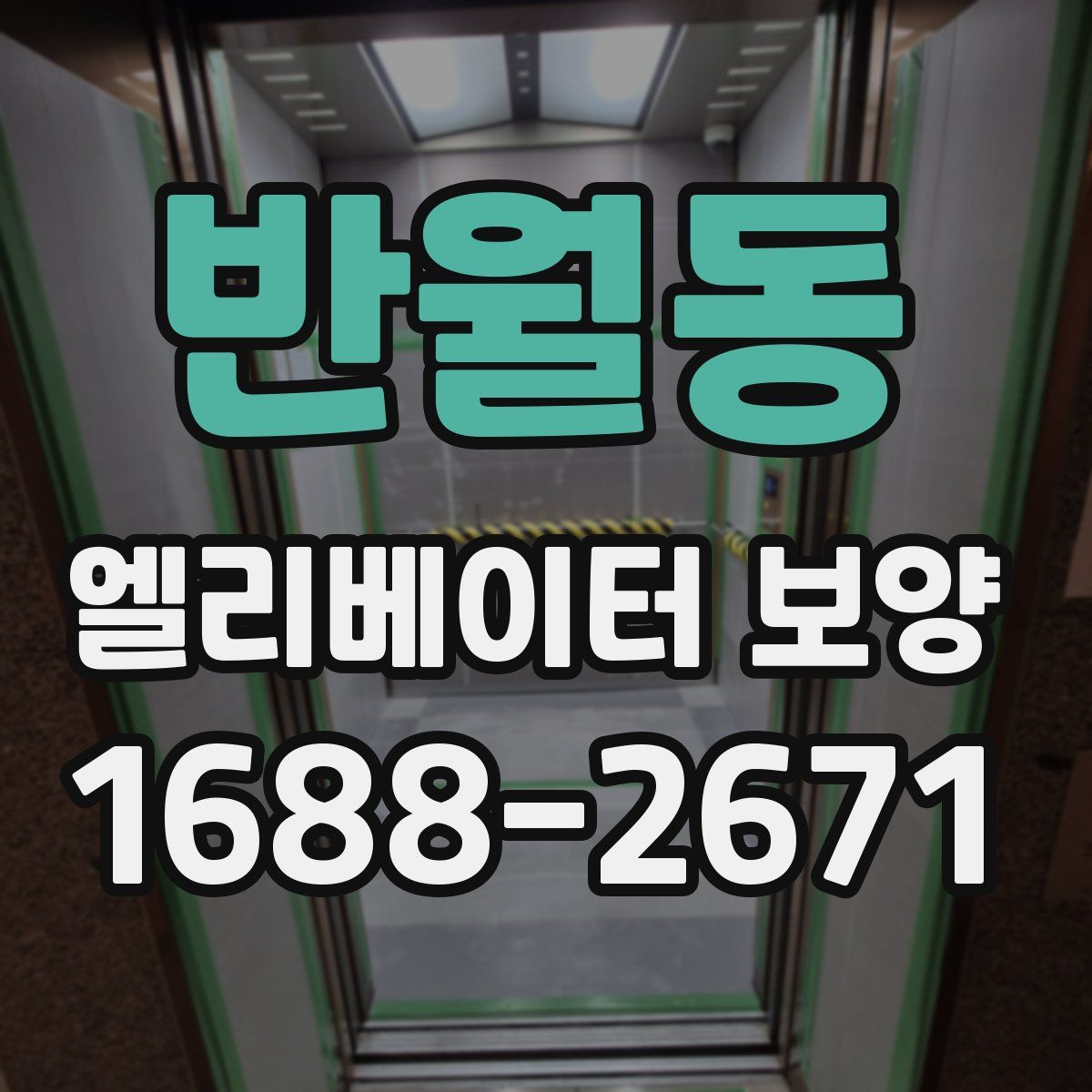 반월동 엘리베이터 보양