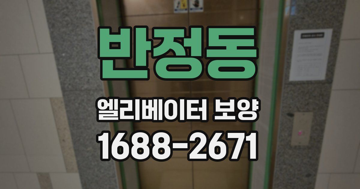 반정동 엘리베이터 보양