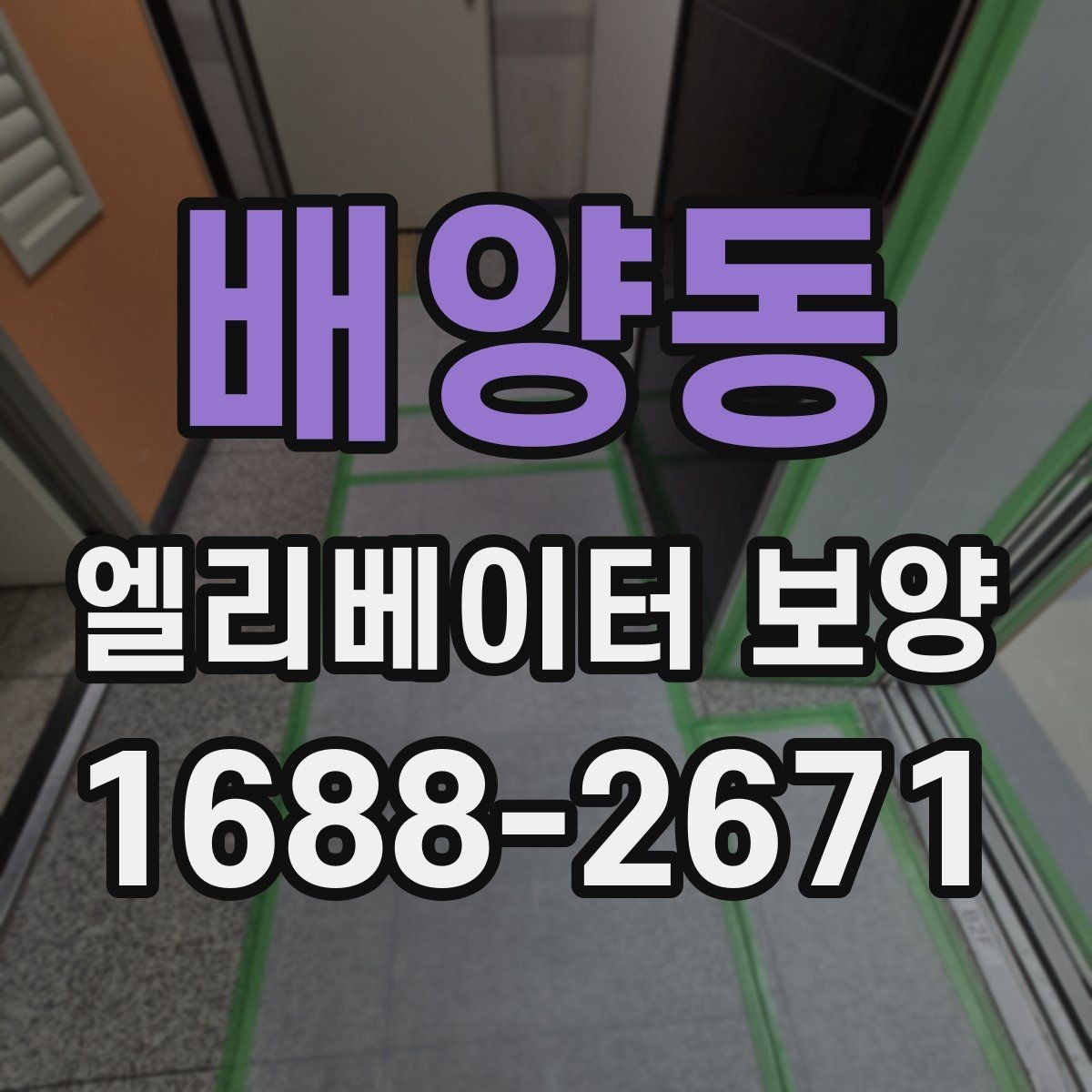 배양동 엘리베이터 보양 현장에서 사용되는 주요 장비