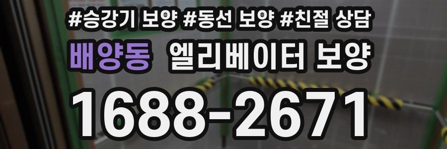 배양동 엘리베이터 보양