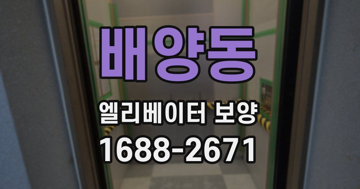 배양동 엘리베이터 보양