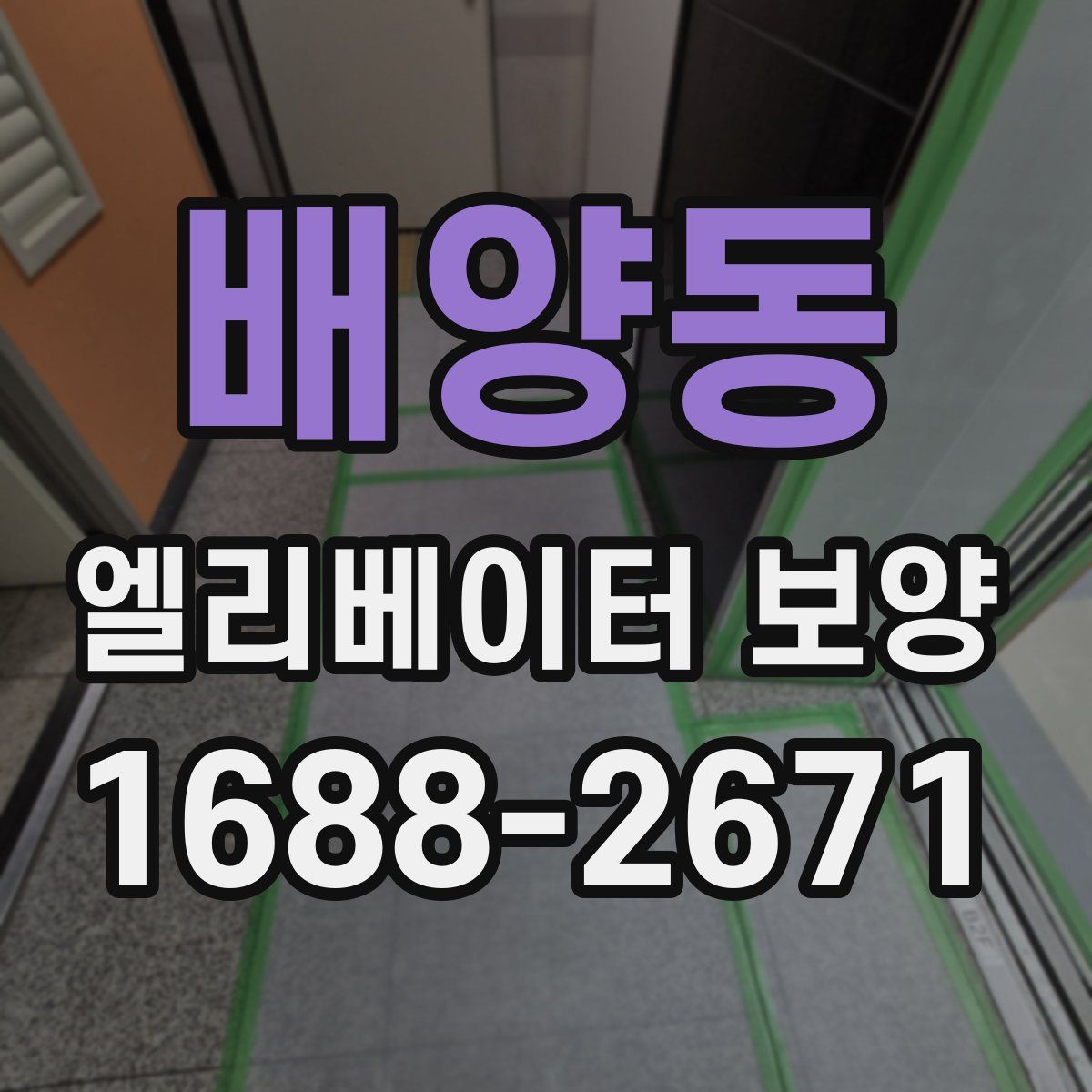 배양동 엘리베이터 보양